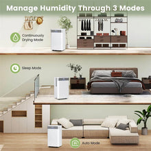Load image into Gallery viewer, 32 Pints 2000 Sq.ft Basement Dehumidifier with Drain Hose, 24H Timer &amp; 3-Color Indicator, Quiet Portable Dehumidifier for Home, Bedroom, Bathroom